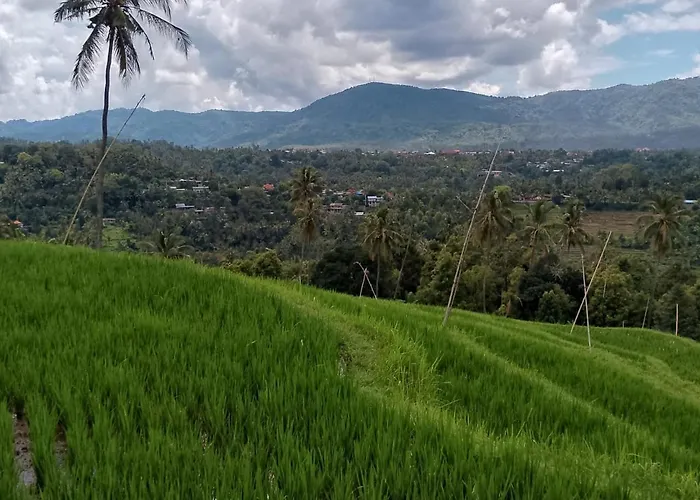 Mayong Awan Cita Munduk