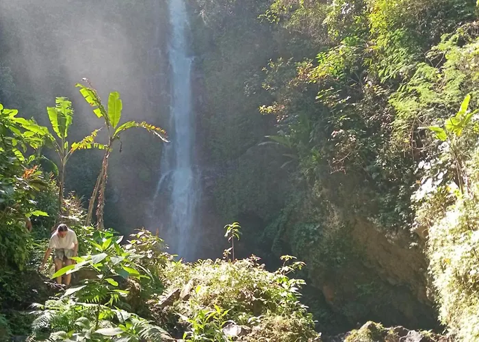Mayong Awan Cita ロッジ Munduk
