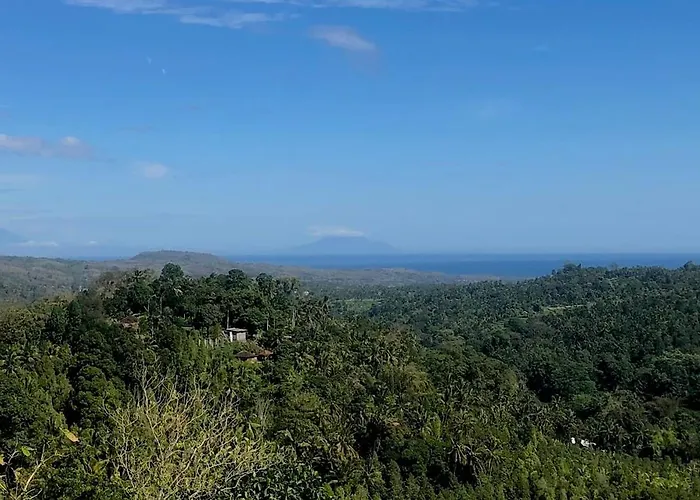 Mayong Awan Cita *