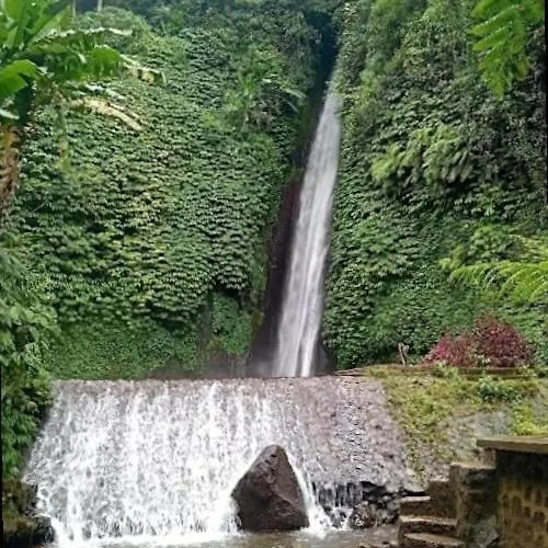 Mayong Awan Cita Munduk
