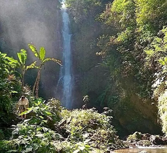 Lodge Mayong Awan Cita Munduk