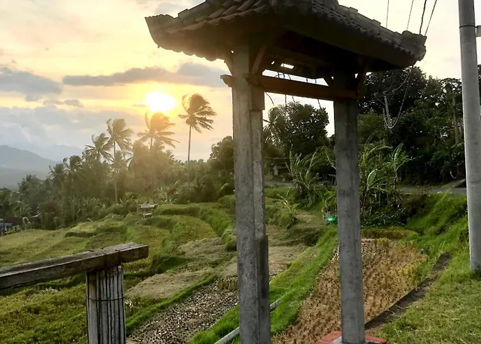 Lodge Mayong Awan Cita Munduk