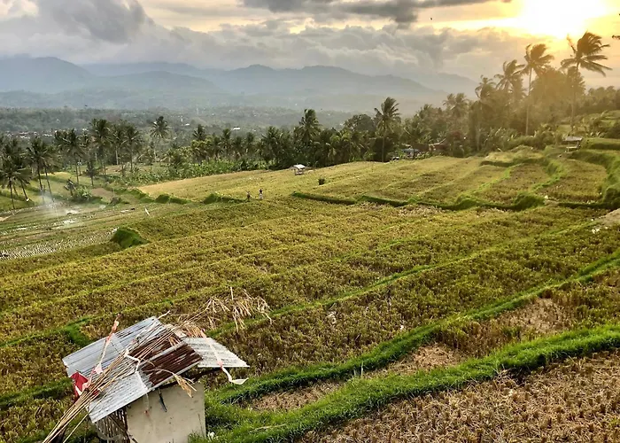 Mayong Awan Cita * Munduk
